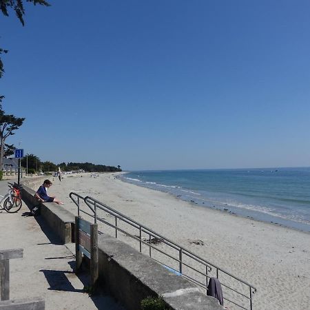 Appartement Neuf 2-4 Pers, Terrasse Et Jardin, A 400M De La Plage Du Rohaliguen - Fr-1-639-35 Сарзо Экстерьер фото